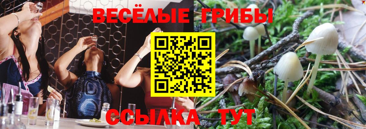 Чебаркуль  Псилоцибиновые грибы мицелий  Вход с VPN 