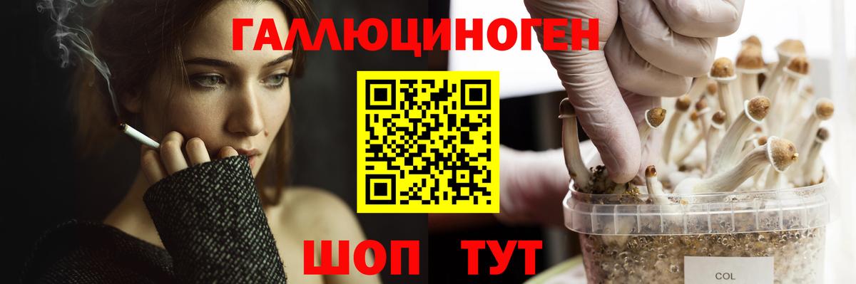 Псилоцибиновые грибы GOLDEN TEACHER Чебаркуль